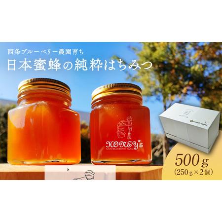 ふるさと納税 日本蜜蜂の純粋はちみつ 500g （250g×2個）　ハチミツ 純粋はちみつ 百花はち...