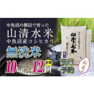 ふるさと納税 【令和8年産 先行予約】【定期便／全12回】無洗米10kg 新潟県魚沼産コシヒカリ「山清水米」 新潟県十日町市