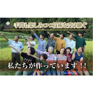 ふるさと納税 【令和8年産 先行予約】【定期便...の詳細画像1