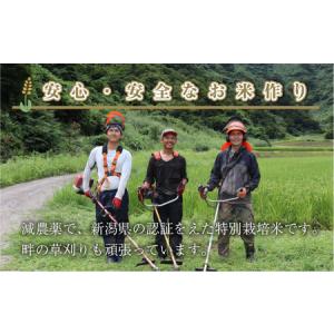 ふるさと納税 【令和8年産 先行予約】【定期便...の詳細画像3