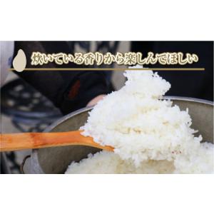 ふるさと納税 【令和8年産 先行予約】【定期便...の詳細画像4