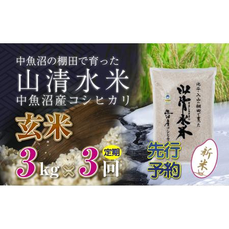 ふるさと納税 【新米先行受付】【定期便／全3回】玄米3kg　新潟県魚沼産コシヒカリ「山清水米」 新潟...