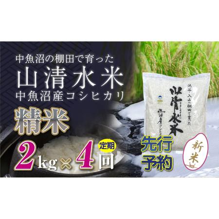 ふるさと納税 【新米先行受付】【定期便／全4回】精米2kg　新潟県魚沼産コシヒカリ「山清水米」 新潟...