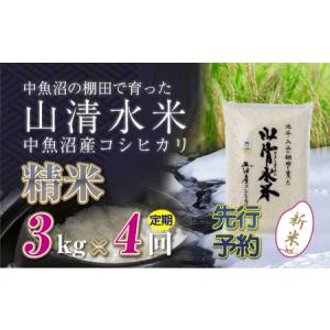 ふるさと納税 【新米先行受付】【定期便／全4回】精米3kg　新潟県魚沼産コシヒカリ「山清水米」 新潟県十日町市｜ふるなび(ふるさと納税)