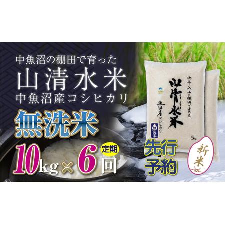 ふるさと納税 【新米先行受付】【定期便／全6回】無洗米10kg　新潟県魚沼産コシヒカリ「山清水米」 ...