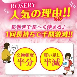 ふるさと納税 【全12回定期便】トイレットペー...の詳細画像3
