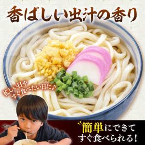 ふるさと納税 【全12回定期便】焼きあごだし ...の詳細画像1