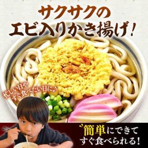 ふるさと納税 【全12回定期便】天ぷら うどん...の詳細画像1