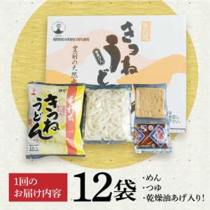 ふるさと納税 【全12回定期便】きつねうどん1...の詳細画像4