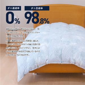 ふるさと納税 【秋冬対応品】羽毛布団 オリジナ...の詳細画像3