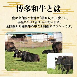 ふるさと納税 【全5回定期便】博多和牛 牛肉 ...の詳細画像4
