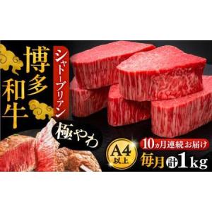 ふるさと納税 【全10回定期便】博多和牛 ヒレ シャトーブリアン 200g×5枚[VBK032]シャトーブリアン 福岡県豊前市
