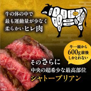 ふるさと納税 【全12回定期便】博多和牛 ヒレ...の詳細画像4
