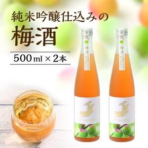 ふるさと納税 【金鯱】純米吟醸仕込みの梅酒(500ml×2本)【1485677】 愛知県半田市｜furunavi