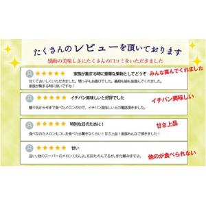 ふるさと納税 【6ヶ月定期便】クラウンメロン並...の詳細画像1