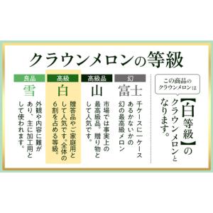 ふるさと納税 メロン 定期便 12ヶ月 白等級...の詳細画像1