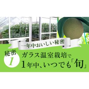 ふるさと納税 メロン 定期便 12ヶ月 白等級...の詳細画像2