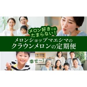ふるさと納税 メロン 定期便 12ヶ月 白等級...の詳細画像4