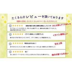 ふるさと納税 【12ヶ月定期便】クラウンメロン...の詳細画像1