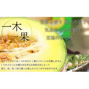 ふるさと納税 【12ヶ月定期便】クラウンメロン...の詳細画像2