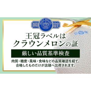 ふるさと納税 【12ヶ月定期便】クラウンメロン...の詳細画像1