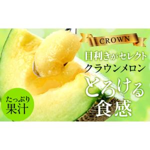 ふるさと納税 【12ヶ月定期便】クラウンメロン...の詳細画像4