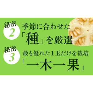 ふるさと納税 【奇数月6ヶ月定期便】クラウンメ...の詳細画像3