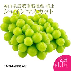 ふるさと納税 ぶどう 2024年度分 先行予約 シャインマスカット 晴王 2房 約1.1kg 岡山県...