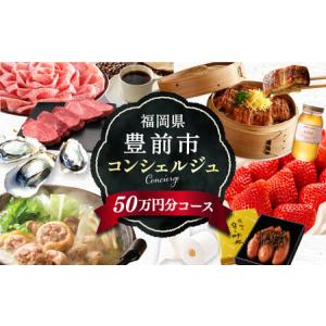 ふるさと納税 【あなただけの特別プラン】豊前市 コンシェルジュ 寄附額 50万円 コース おすすめ おまかせ 定期便 [VZZ001] 福岡県豊前市