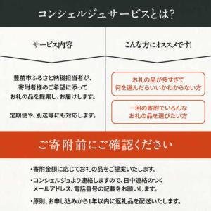 ふるさと納税 【あなただけの特別プラン】豊前市...の詳細画像1