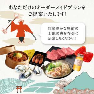 ふるさと納税 【あなただけの特別プラン】豊前市...の詳細画像3