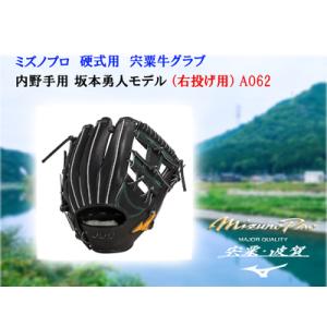 ふるさと納税 AO63 ミズノプロ 硬式用 宍粟牛グラブ 外野手用 イチロー