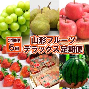 ふるさと納税 【定期便6回】山形フルーツ デラックス定期便 FZ25-825 山形県山形市