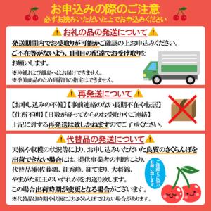 ふるさと納税 【定期便6回】山形フルーツ デラ...の詳細画像2