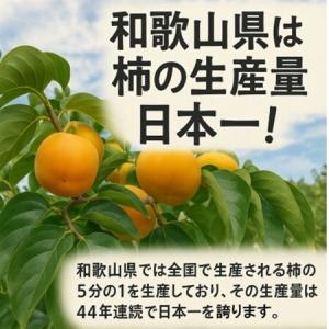 ふるさと納税 【先行受付】柳フルーツ園 干し柿...の詳細画像3
