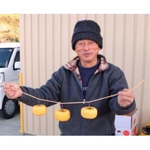 ふるさと納税 【先行受付】柳フルーツ園 干し柿...の詳細画像2