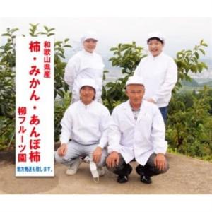 ふるさと納税 【先行受付】柳フルーツ園 干し柿...の詳細画像3