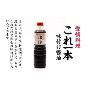 ふるさと納税 【全12回】味付け醤油の満足セッ...の詳細画像2