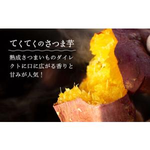 ふるさと納税 【全12回】さつまいもたると5号...の詳細画像2