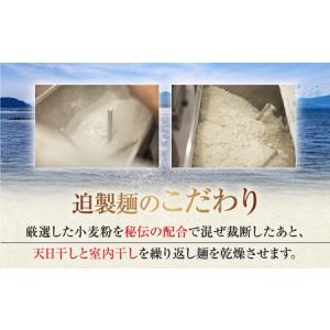 ふるさと納税 【全12回】うどん バラ 420...の詳細画像2