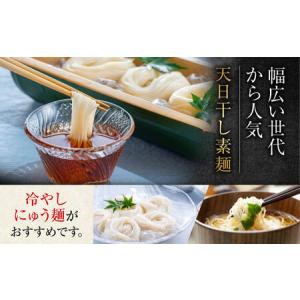 ふるさと納税 【全12回】そうめん バラ315...の詳細画像3