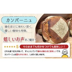 ふるさと納税 【全6回】パン詰め合わせB パン...の詳細画像1