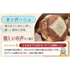 ふるさと納税 【全6回】パン詰め合わせA パン...の詳細画像1