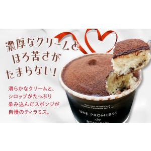 ふるさと納税 【全12回】ティラミス6個 2種...の詳細画像1