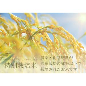 ふるさと納税 米杜氏 阿賀野市産 特別栽培米 ...の詳細画像2