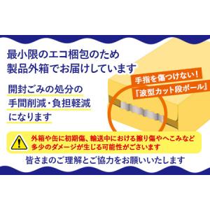 ふるさと納税 【定期便9ヶ月】モルツ サントリ...の詳細画像2