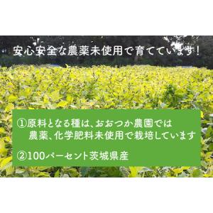 ふるさと納税 えごま油 110g 農薬未使用「...の詳細画像2