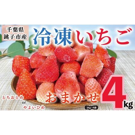 ふるさと納税 冷凍いちご 4kg （ 1kg × 4 ） とちおとめ やよいひめ 冷凍イチゴ  神原...