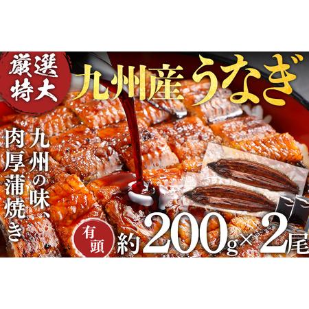 ふるさと納税 九州産うなぎ2尾 国産 厳選特大 有頭 200g 2尾 蒲焼き 肉厚 ジューシー ふっ...