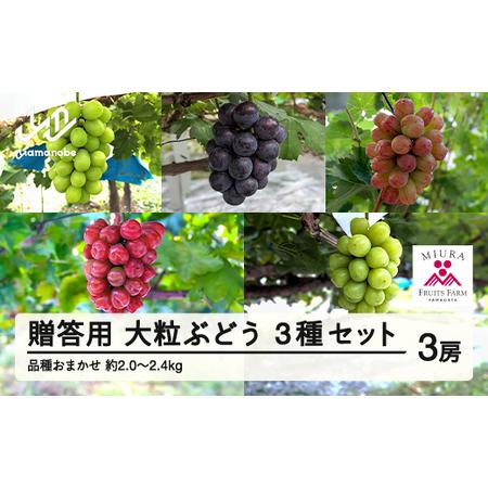 ふるさと納税 ≪先行予約≫贈答用 2026年山形県産 品種おまかせ 大粒ぶどう3種セット 2.0〜2...